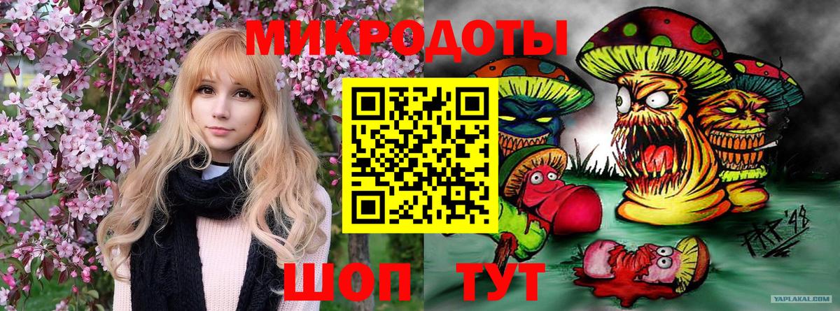 Узловая  Галлюциногенные грибы MAGIC MUSHROOMS  Галлюциногенные грибы мухоморы  Вход с VPN 